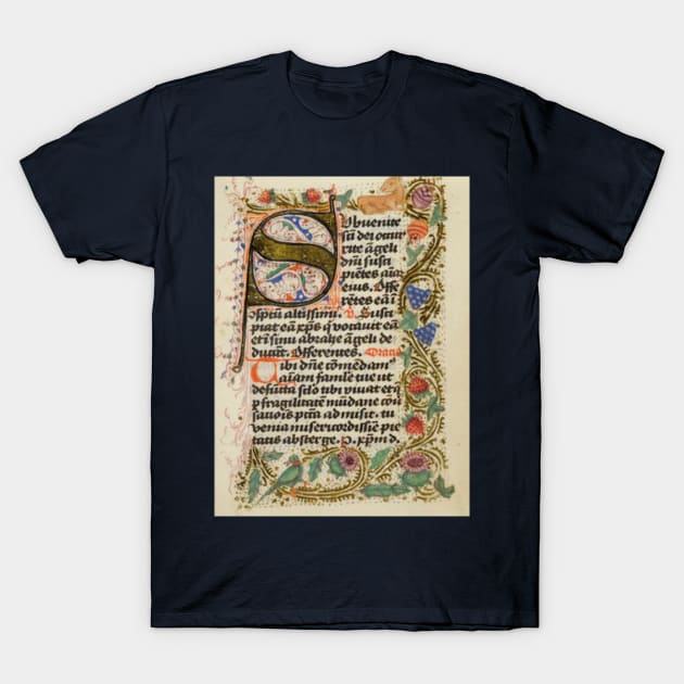 Illuminated Manuscript T-Shirt by AlienMirror